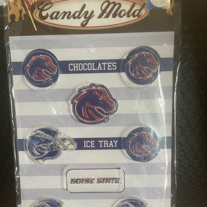 Boise State University Candy Soap Plastic Mold New